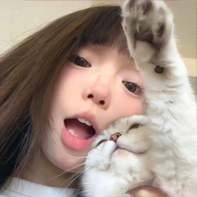 糊涂家族